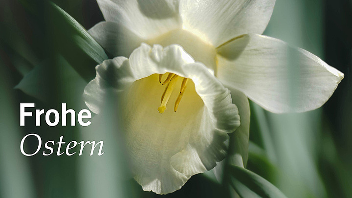 Feiertag: Der Kirchentag wünscht frohe Ostern!